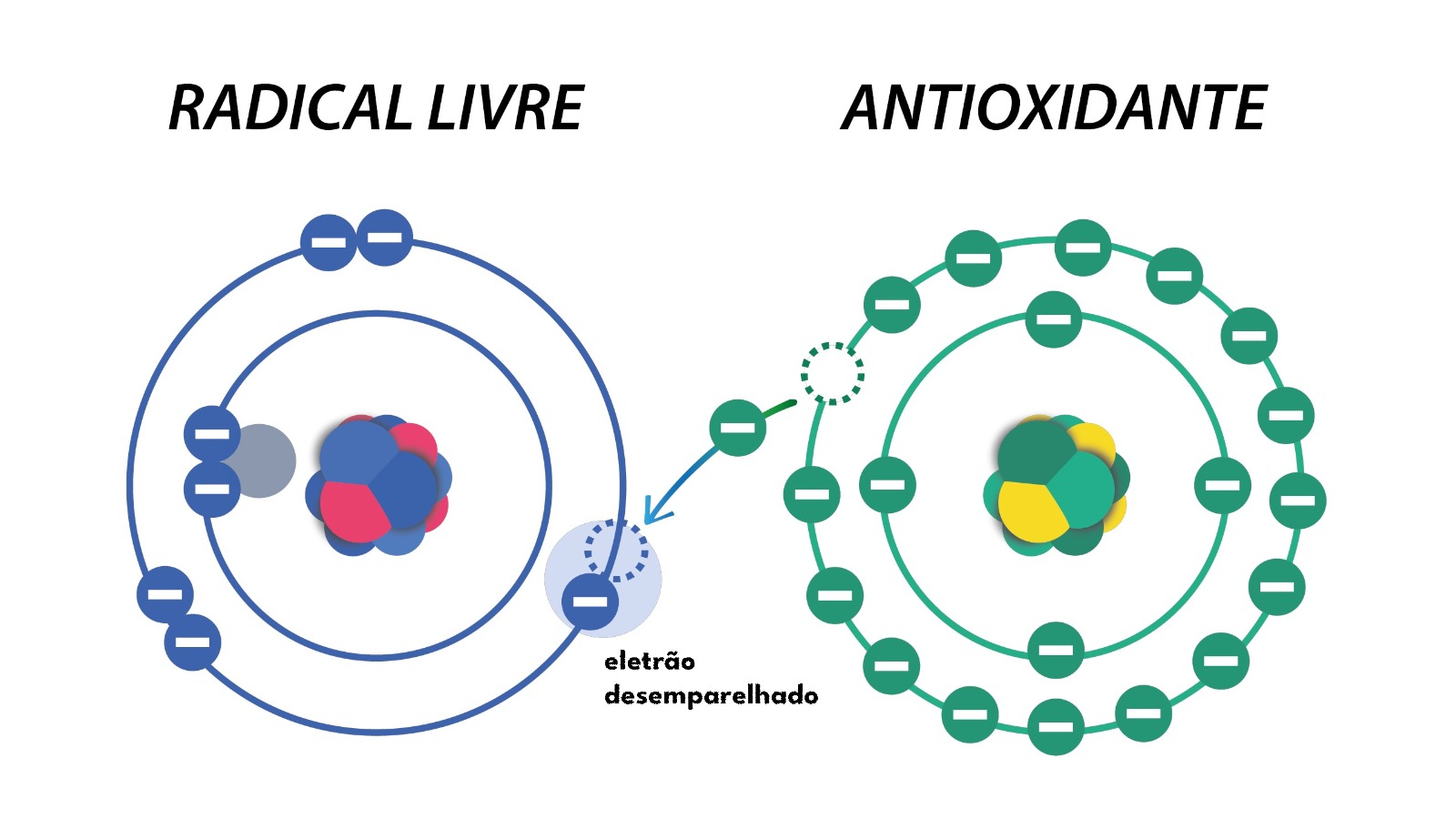 radical livre e antioxidante