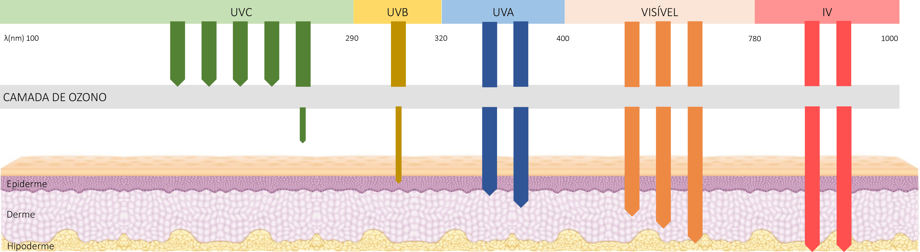 Gráfico Radiação Solar