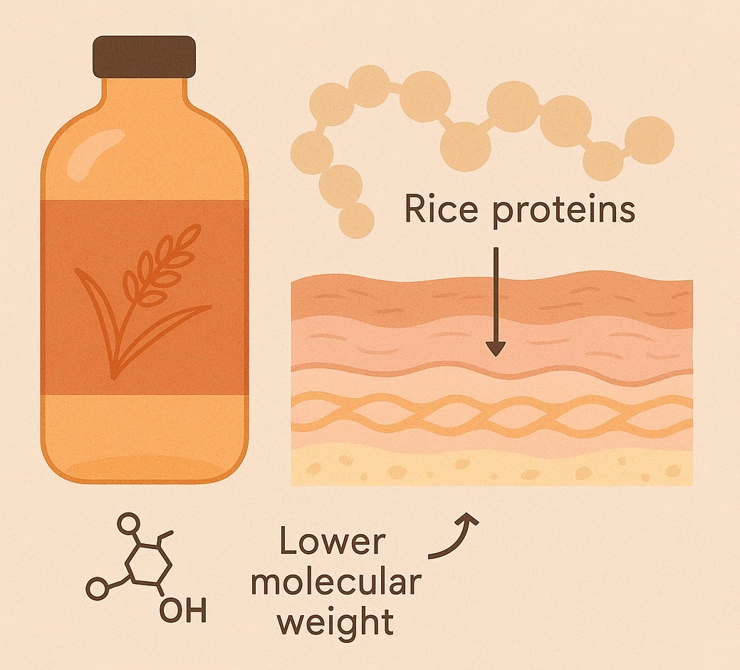 Fermentação de proteínas